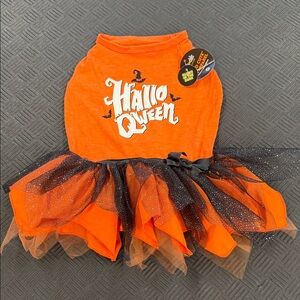 Halloween Glow in the Dark Dog Costumes Sizes S, M, L